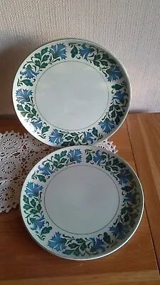Buy 2 Midwinter Caprice Salad Lunch Plates 22.5 Cm • 10£