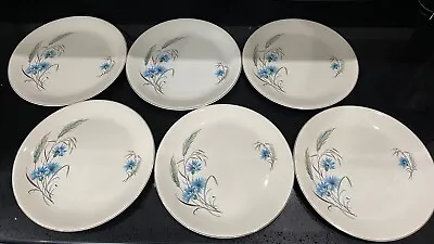 Buy Vintage Alfred Meakin  Jayne  Pattern, Cornflower, Dinner Plates X 6 10 Inch • 15£