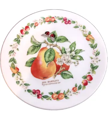 Buy Vintage Royal Worcester Plate  Red Bartlett  1996 Orchard Fruits Free UK Postage • 10.99£