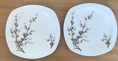 Buy Midwinter Stylecraft 'Pussy Willow'  7.5 Inch Salad Plates X 2 • 2.49£