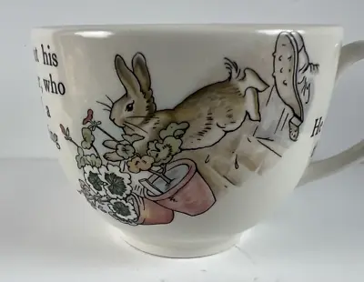 Buy Wedgwood Peter Rabbit Porcelain 3” Child’s Mug Cup Flowerpots + Gate Replacement • 12.06£