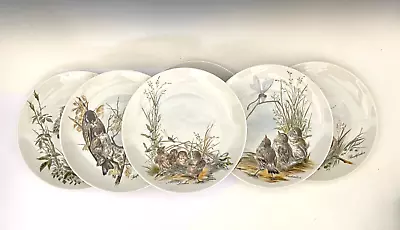 Buy Kaiser W. Germany Collectible Set Of SIX (6) Bird Plates By H. Arndt 7.5  • 47.25£