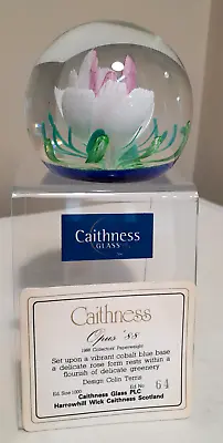 Buy Caithness Glass 'Opus 88' Limited Edition Paperweight • 55£