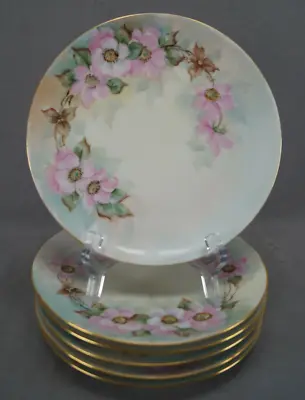 Buy Set Of 6 Thomas Bavaria Hand Painted Yolanda Collela Pink Roses 7 5/8  Plates • 120.06£