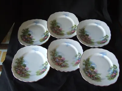 Buy Vintage - Royal Vale - Bone China Country Cottage Tea Side Plates  Set Of 6 • 9.99£
