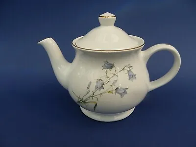 Buy Sadler 0.75 Pint Floral Pattern Teapot. • 14.99£