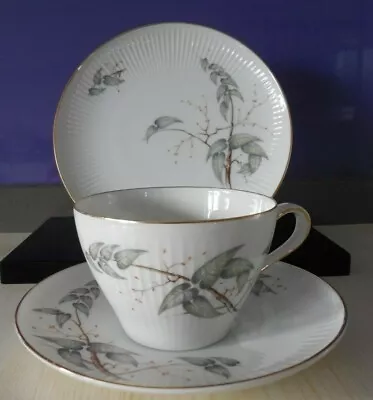 Buy Vintage Thomas Porcelain, Germany - TRIO - QUINCE PATTERN.  In Good Condition • 3£