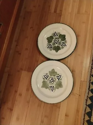 Buy 2 X Poole Pottery Hand Painted Grapes Vineyard Large Dinner Plates 26cm • 15£
