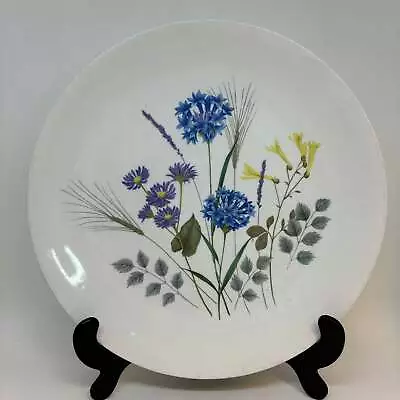 Buy Ridgway Country Garden Blue And White DINNER PLATE 9.75  • 14.99£