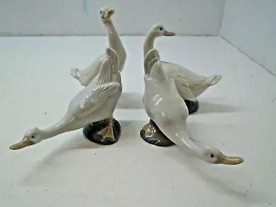 Buy Lladro Porcelain Group Of Four Geese/Ducks  2 X 515, 1 595 And 1 525 Unboxed • 12.99£