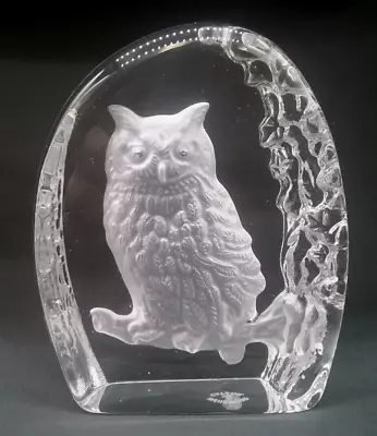Buy Wedgewood Crystal Glass Paperweight With Embossed Owl • 9.99£