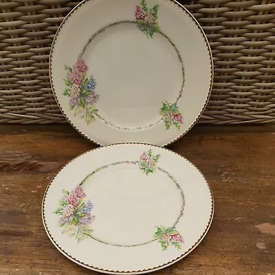 Buy Portland Pottery Cobridge 1950s Pair Of 9  Plates Floral Pattern • 5£
