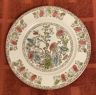 Buy Broadhurst Indian Tree Dinner Plate 9.5  • 2£