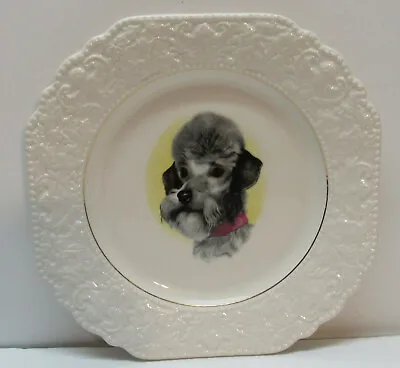 Buy Poodle Plate Lord Nelson Pottery Hand Crafted In England Vintage  • 23.65£