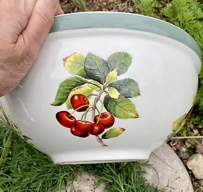 Buy Portmeirion Vintage Large Ceramic Bowl Featuring Fruit • 2.20£