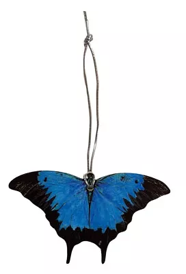 Buy Blue Mountain Swallowtail Butterfly Christmas Tree Decoration -  -BF5-D • 2.95£
