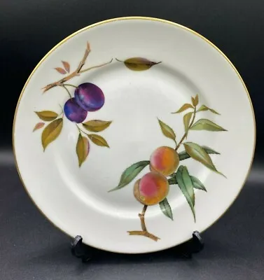 Buy Royal Worcester Evesham Dinner Plate 10  / 255mm Collectable Gift For The Set • 12.38£