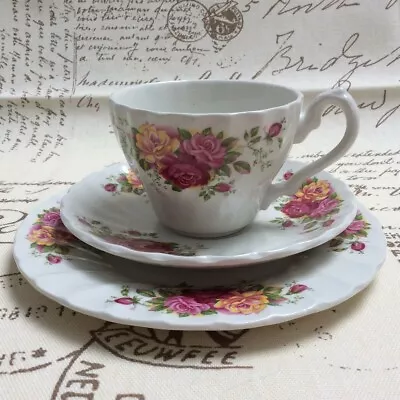 Buy Chintz Ribbed ‘Rose Garden’ Trio Cup Saucer Plate Myott Meakin Staffordshire • 35£