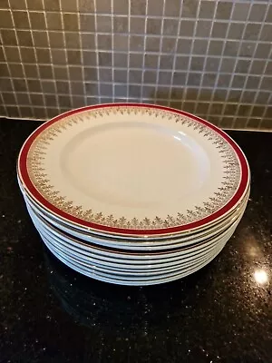 Buy VINTAGE Myott Royalty  12 Dinner Plates 25cm In Mint Condition  • 75£