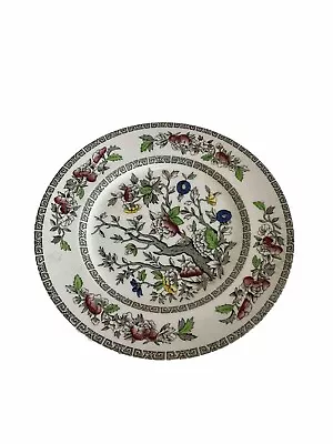 Buy Indian Tree Dinner Plate 9” By Alfred Meakin Staff., England • 4.99£