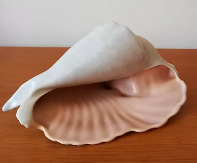 Buy Poole Pottery Twintone Peach Bloom Conch Shell • 6.99£