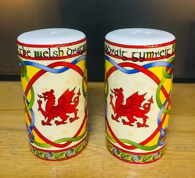 Buy Welsh Ceramics Collection Red Dragon Salt & Pepper Pots Celtic Weave With Dragon • 9.95£