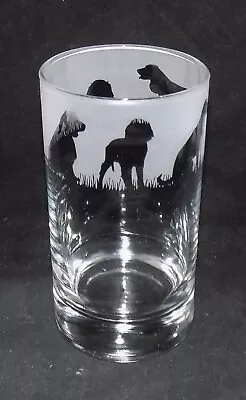 Buy New 'SPRINGER SPANIEL' Hand Etched Highball Glass With Gift Box - Perfect Gift! • 12.99£