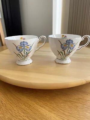 Buy Tuscan Bone China English Tea Cups X 2 • 9.99£