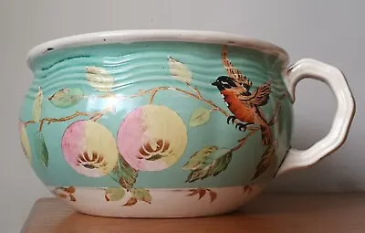 Buy Antique Pottery Chamber Pot - Furnival & Sons -  Bird & Apple Blossom PLANTER • 55£