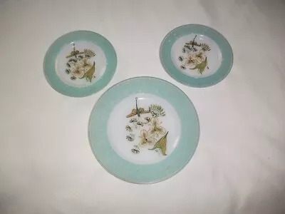 Buy Set Of 3 French Opaline Glass Hand Painted Display Plates • 15£