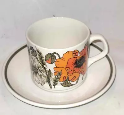 Buy J & G Meakin Studio Pottery  Poppy  Tea Cup, Saucer • 5.75£