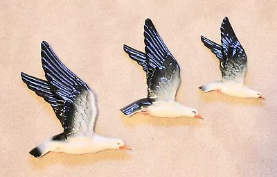 Buy Beswick Vintage 922 Graduating Seagull Set Of 3 Wall Plaques • 160£