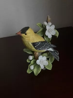 Buy American Goldfinch By Basil Ede ; Franklin Mint ; Hand-painted Porcelain • 15£