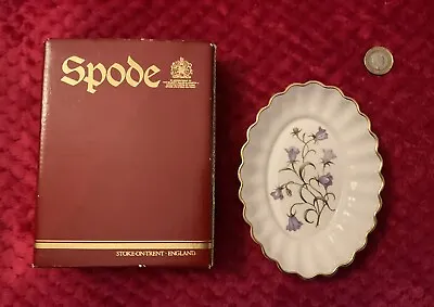 Buy Vintage Spode, England Bone China Campanula Fluted Chelsea Tray With Box • 6.99£