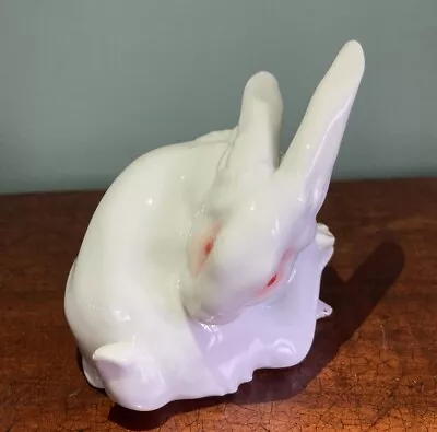 Buy Wien White Rabbit • 125£