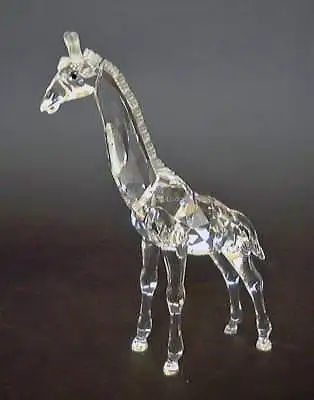 Buy Swarovski Crystal Giraffe Baby 236717 Mint Boxed Retired Rare • 165£