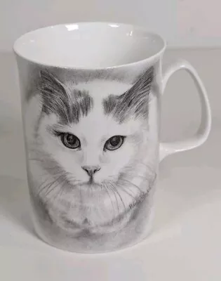 Buy Cat Design Mug Fine Bone China Made In England By P&R Designs Giftware • 5£