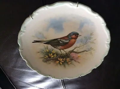 Buy Royal Albert Bone China The Woodland Birds Collection Chaffinch Collector Plate • 2£