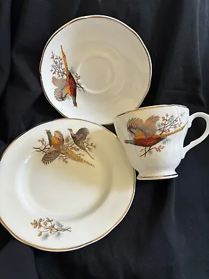 Buy VTG Argyle English Bone China Pheasant Birds 200ml Tea Cup, Saucer And Plate • 10£