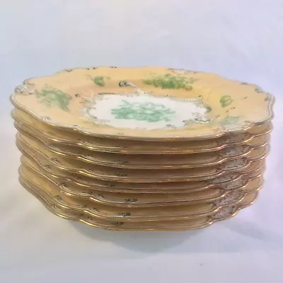 Buy Spode Antique Set 8 Gorgeous English Dessert Plate Scallop Green Gold Scrolls • 349.64£