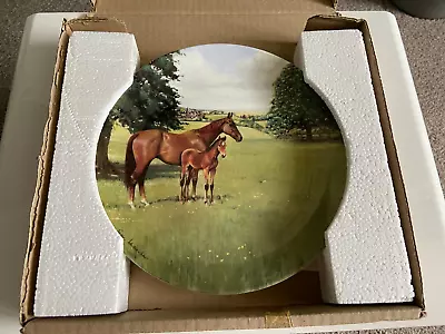 Buy Coalport 8  Limited Edition #331A China Horse Plate - A Champion Is Born • 10£