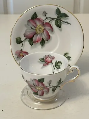 Buy Royal Standard Pink Camellia Gold Trim Cup Saucer Teacup England Fine Bone China • 14.31£