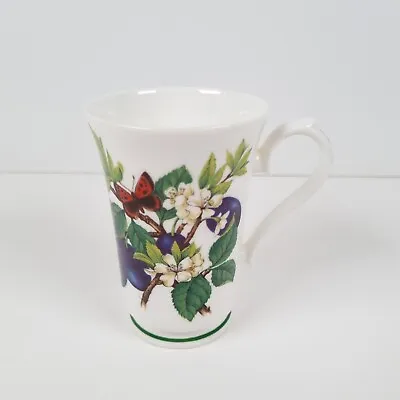Buy Roy Kirkham Botanica Mug Fine Bone China Tea Coffee Cup Fruit Vintage 1996 • 11.44£