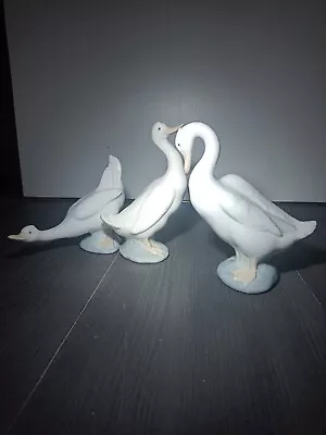 Buy Three Vintage Lladro NAO Geese/Swan Figurines Porcelain   • 9.99£