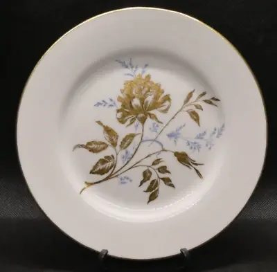 Buy Five Vintage Aynsley Bone China 'Golden Grace' Tea/Side Plate (16cm) • 30.98£