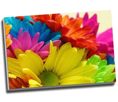 Buy Colourful Daisies Field Flower Canvas Print Wall Art 30x20  A1 • 29.99£