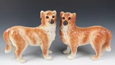 Buy Pair Antique Staffordshire Mantle Collie Dog Figurine Figures Pottery Glass Eyes • 302.22£