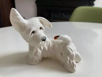 Buy Beswick West Highland Terrier (Westie) Dog With Ladybird On Tail. 907 RARE • 17£