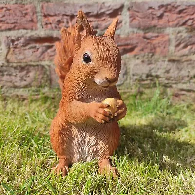 Buy Vivid Arts Real Life Sitting Red Squirrel Resin Home/Garden Decoration XRL-RS05 • 26.99£