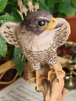 Buy Peregrine Falcon Highly Detailed Capidimonte Ornament Large RARE • 59.99£